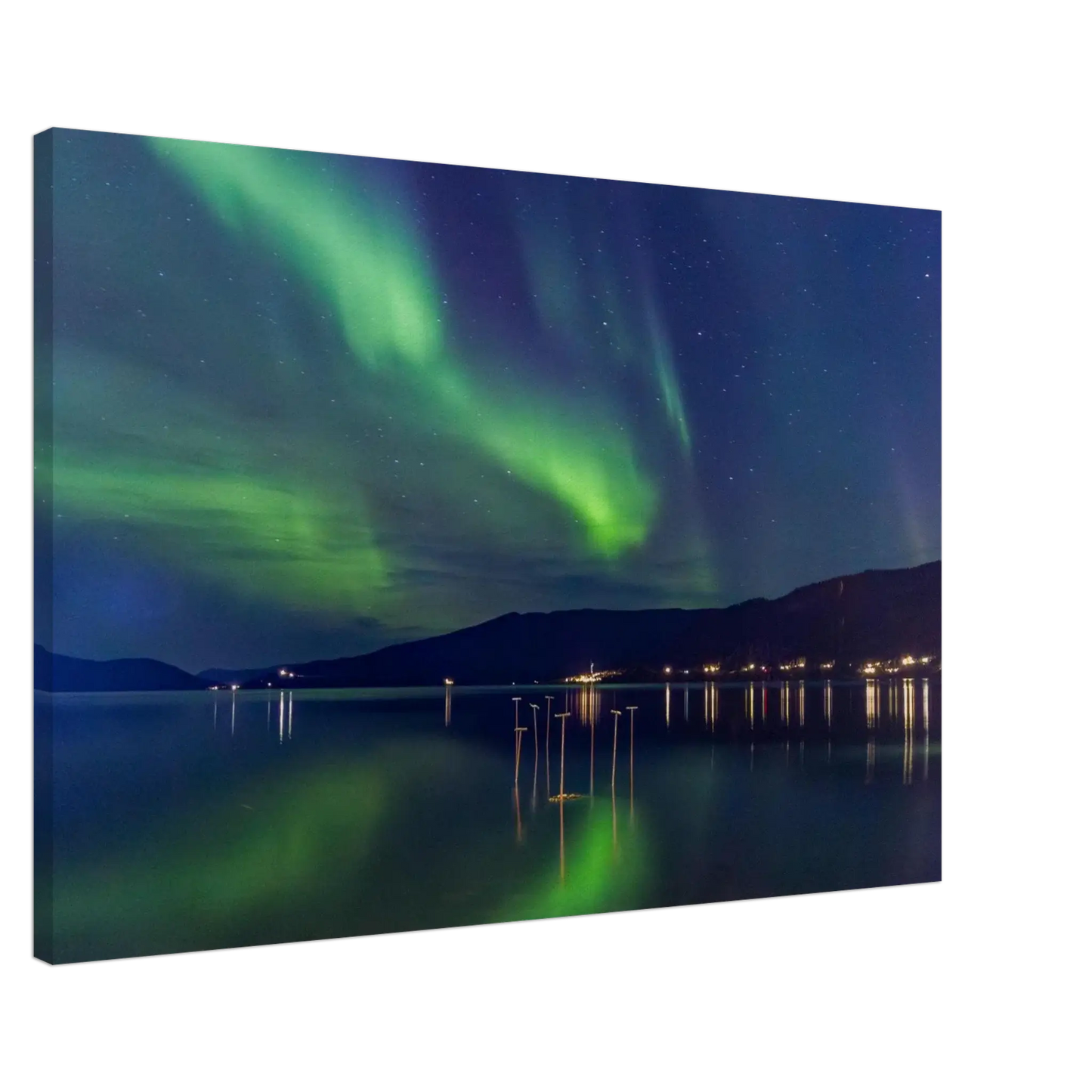 81d24a16-cc52-4401-b973-e3e396595b70