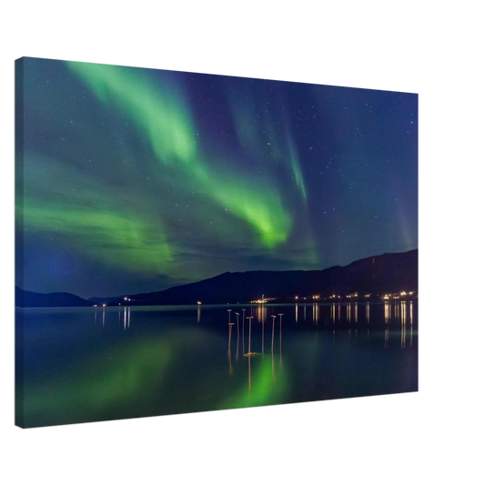 81d24a16-cc52-4401-b973-e3e396595b70