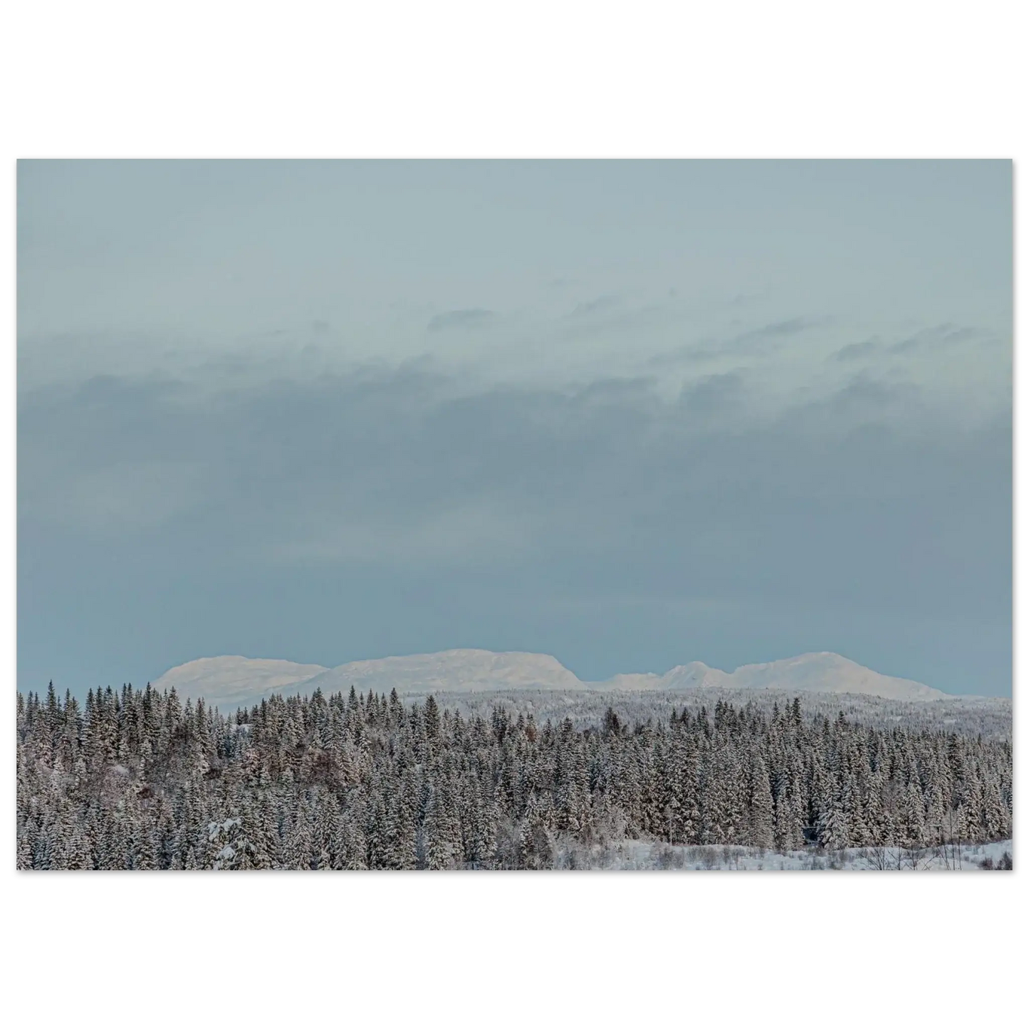 82859319-0549-408f-89dd-177f6f8d1e08