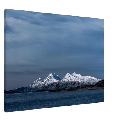 832b0c11-0077-427e-8c57-bcc0af18b500