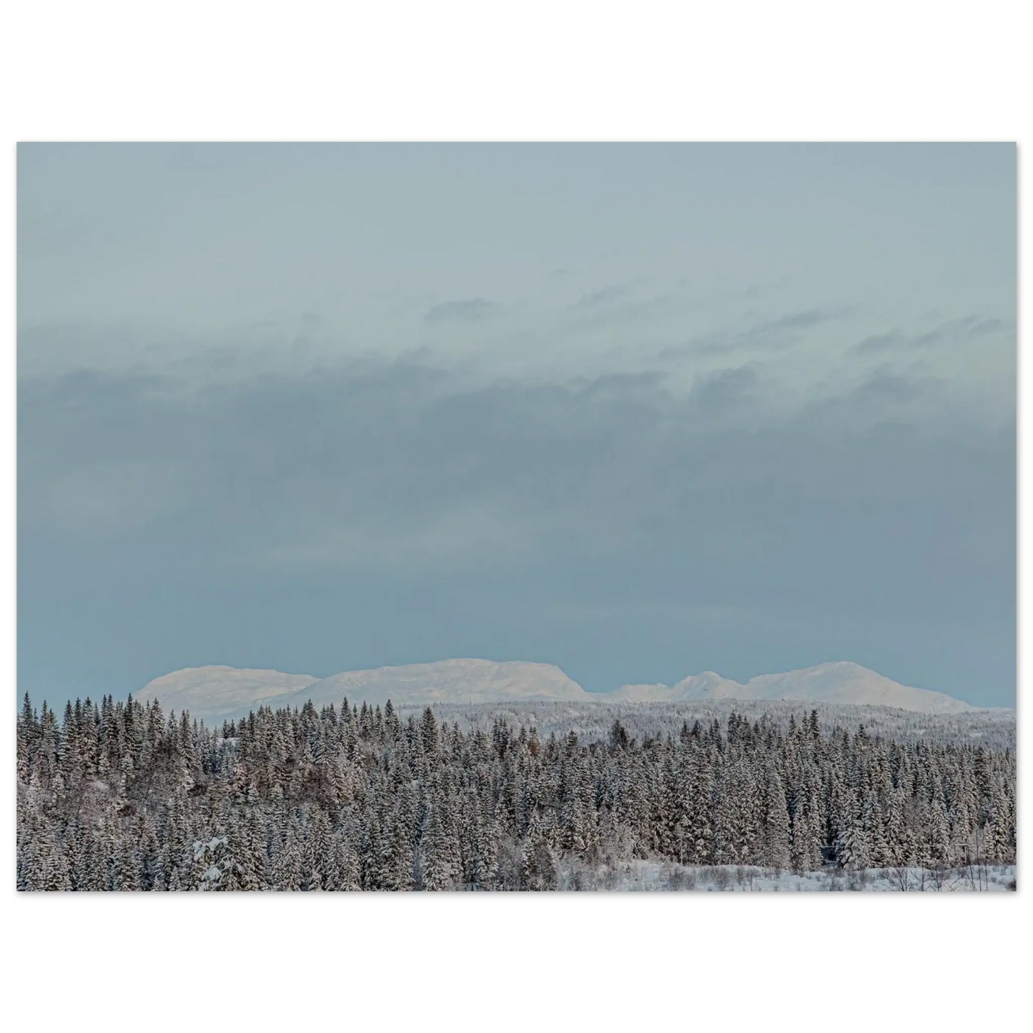 83ff1334-3bee-4760-8430-9af7bcfed2e4