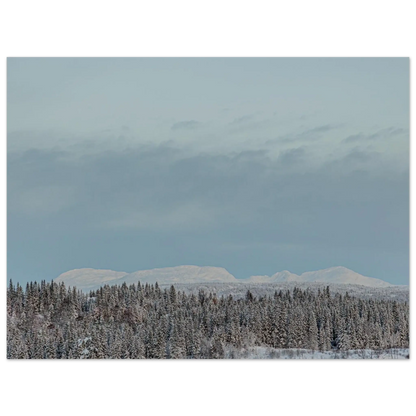 83ff1334-3bee-4760-8430-9af7bcfed2e4