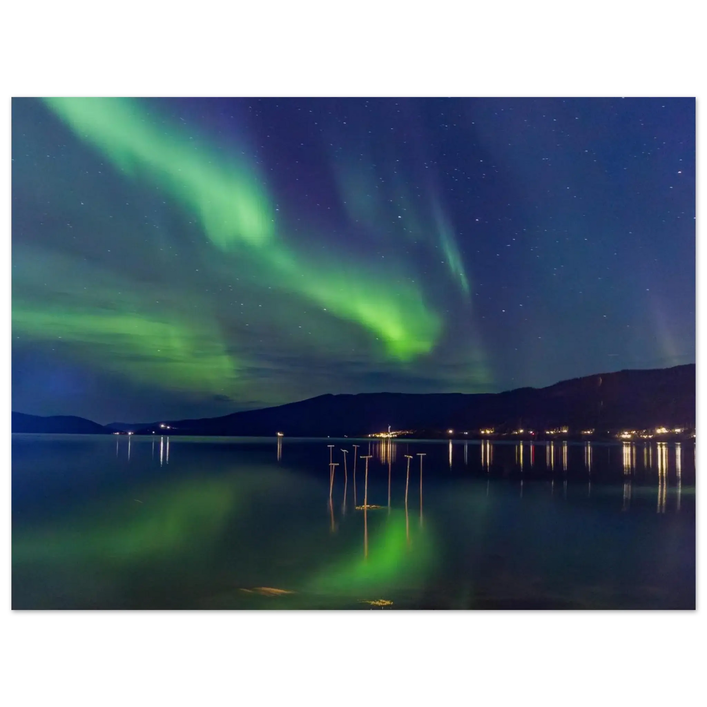 86cb4808-b502-4f90-b5c9-a0104aa017f0