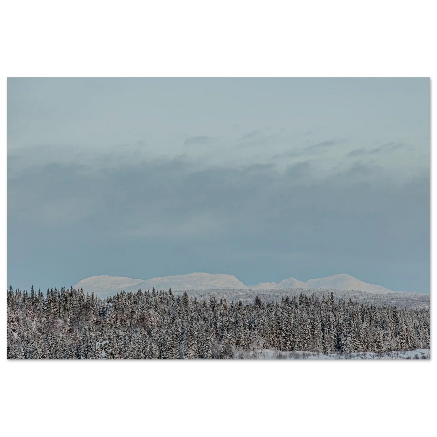 8b7432c6-5c5b-48ca-8f9d-de80243214aa