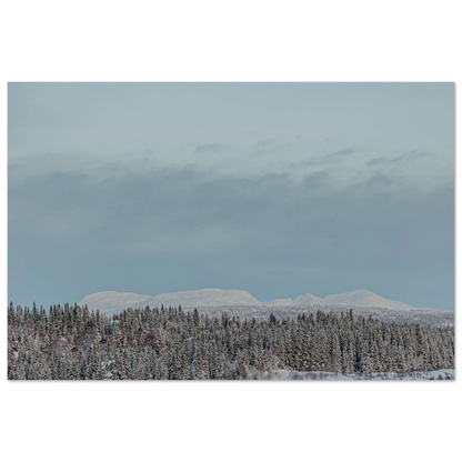 8b7432c6-5c5b-48ca-8f9d-de80243214aa