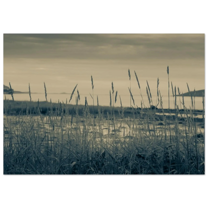 8dfbada6-533a-441a-8322-c958d34d4112