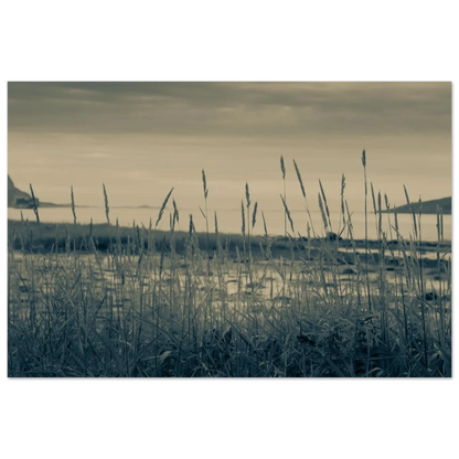 8eb24a63-d61b-42e5-920d-34685fd9f715