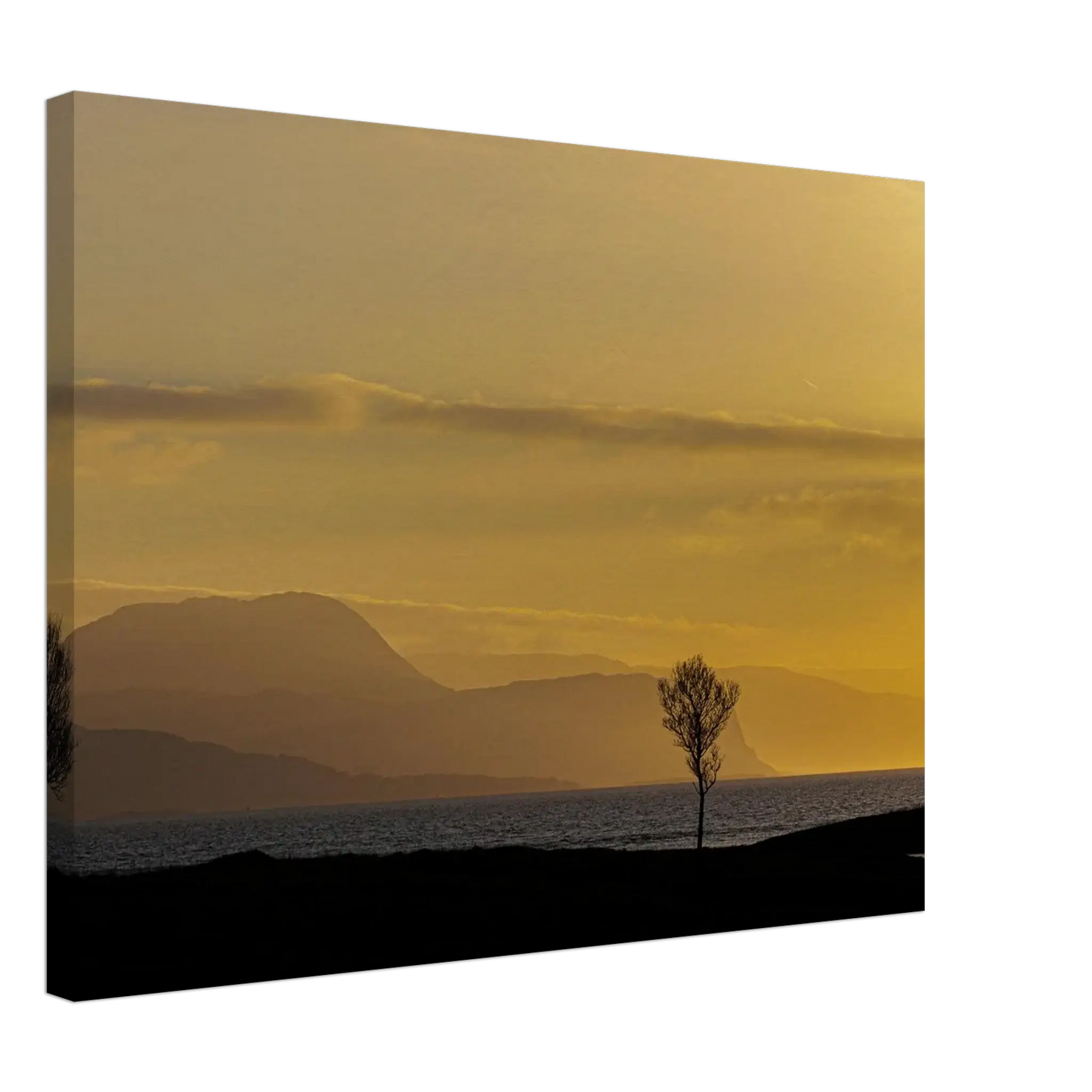 9182d5f8-4cad-47dd-9794-0643e3d98db6