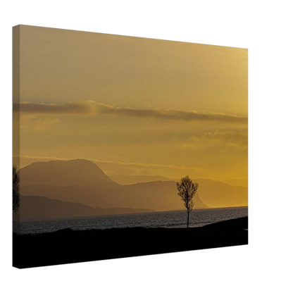 9182d5f8-4cad-47dd-9794-0643e3d98db6