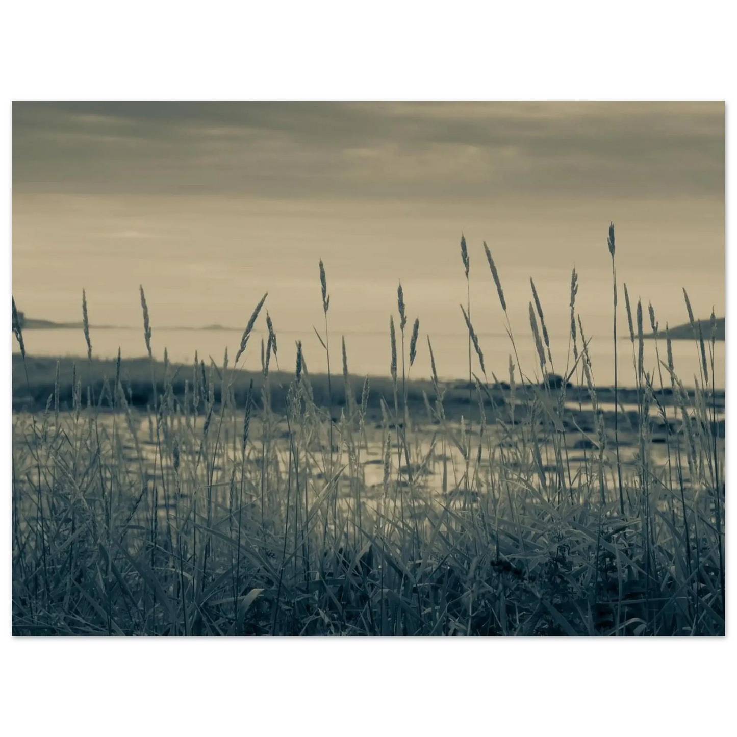 9784eefc-764d-4df5-84a0-c0fb118969f5