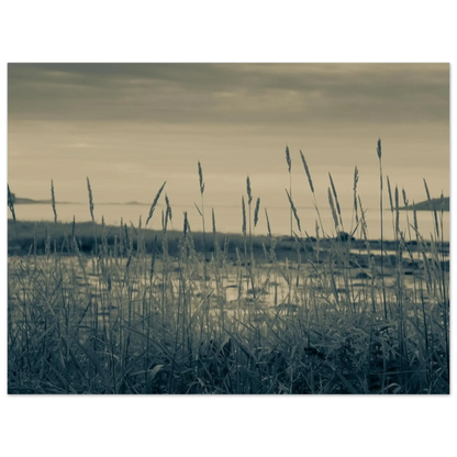 9784eefc-764d-4df5-84a0-c0fb118969f5