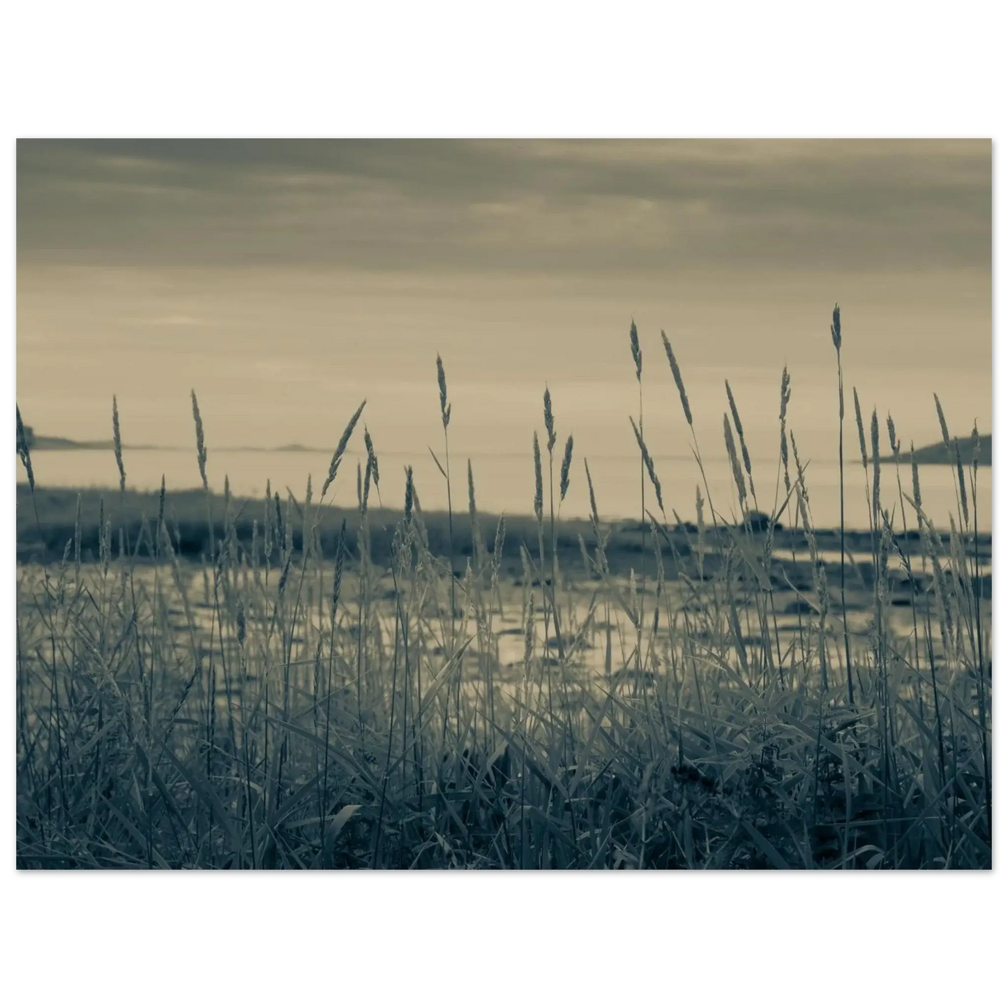 97de0d0b-06fd-498c-ae2a-1f705bd82f28