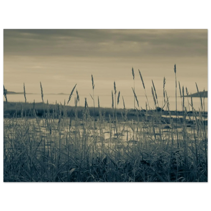 97de0d0b-06fd-498c-ae2a-1f705bd82f28