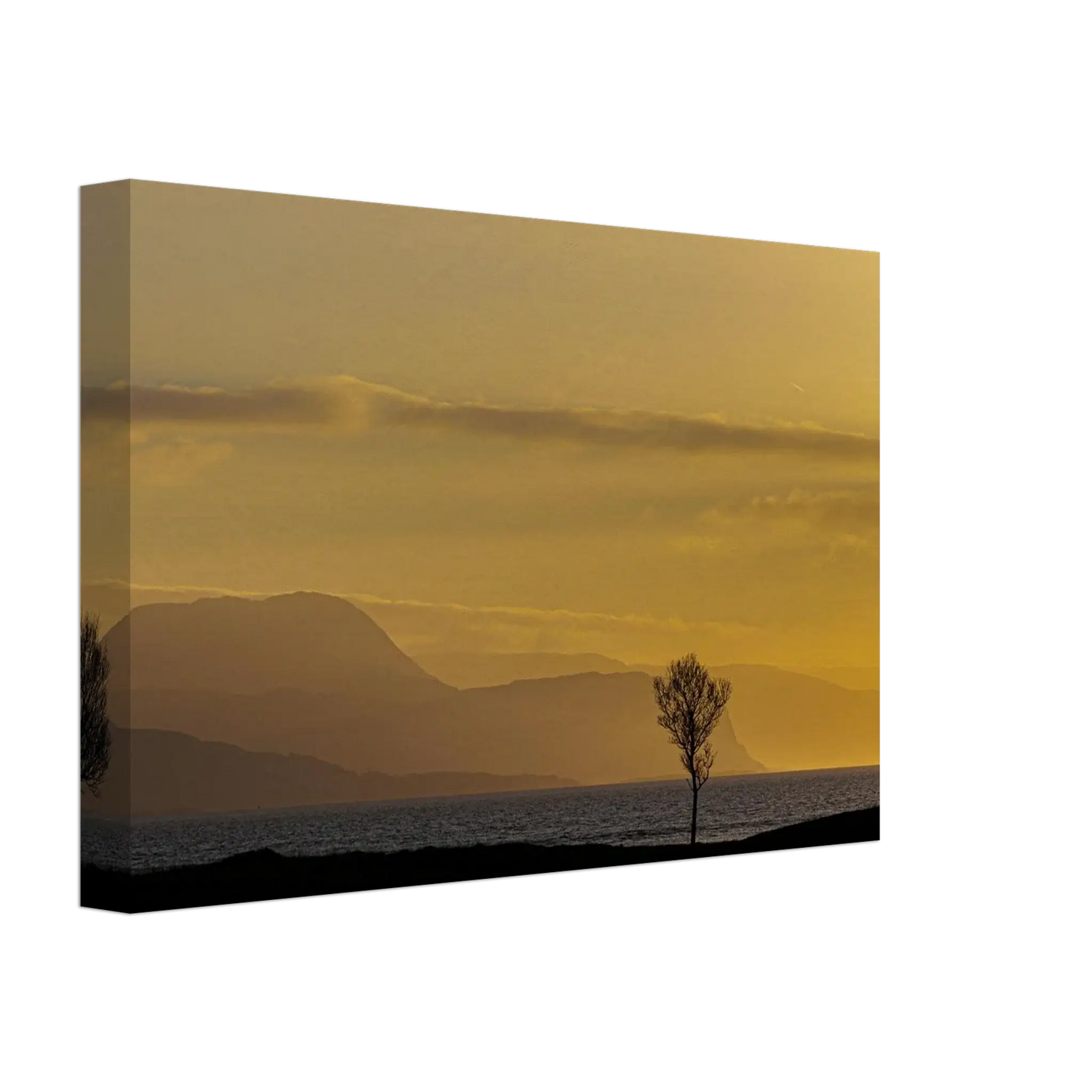 9811edf2-a507-4079-85aa-4303fad828c5