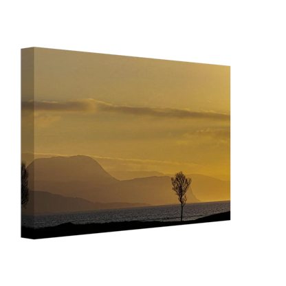 9811edf2-a507-4079-85aa-4303fad828c5