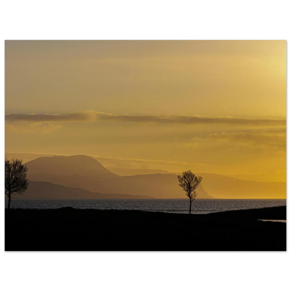 98f20757-da1f-4067-bab5-937c241badaf