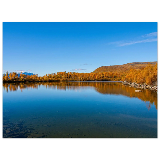 990e5e01-5b91-407b-86f4-49342844874d