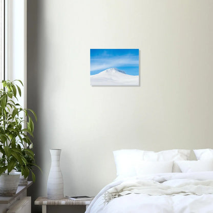 99c136bc-f367-471c-882e-21d80786f07f