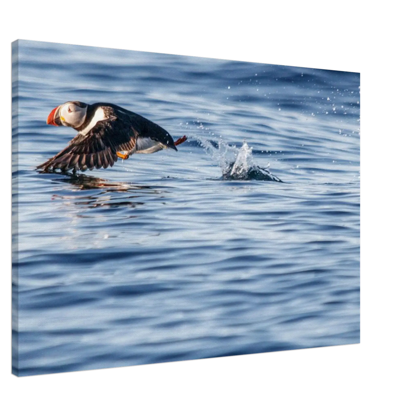 9cdabd66-107f-4911-9cc9-fd4aed2338c9