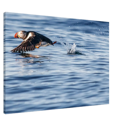 9cdabd66-107f-4911-9cc9-fd4aed2338c9