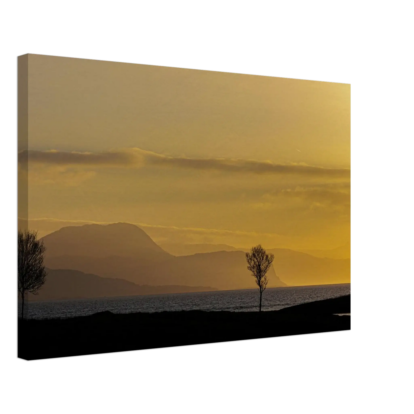 9e905aaa-e43b-4dc3-9456-6438dd083229