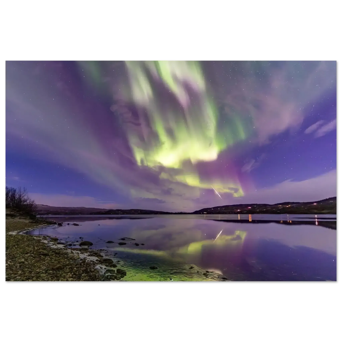 4c601974-49a5-4e79-87a5-2e67baed1607