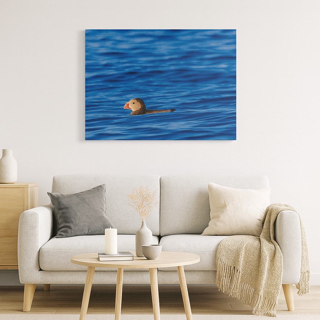 Puffin moderne interiør med maritimt motiv, fotografisk kunst av en puffin på stille vann.