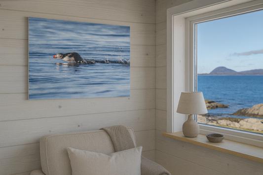 Lundefugl Nordisk interiør med naturmotiv – Fotografisk kunst for ro og stil