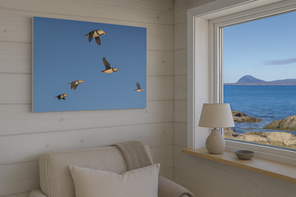 Puffins luftig nordisk interiør – Fotografisk kunst med naturens rytme