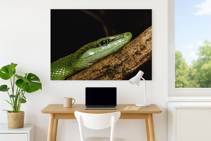 Rødhalet racer Naturens intensitet på veggen