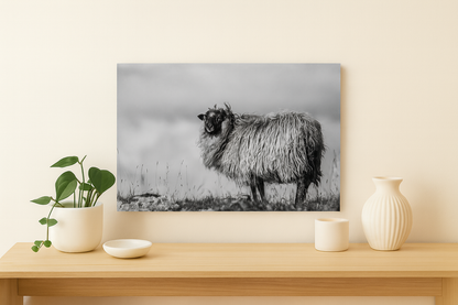 Villsau Nordisk interiørkunst – Fotografisk ro og varme til hjemmet