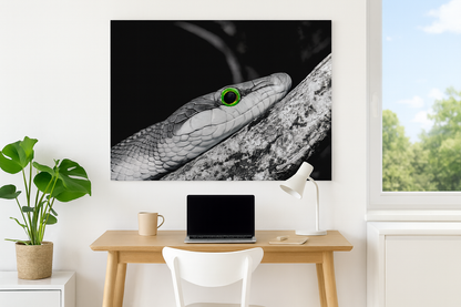 Fredelig stue med kunstverk av slange