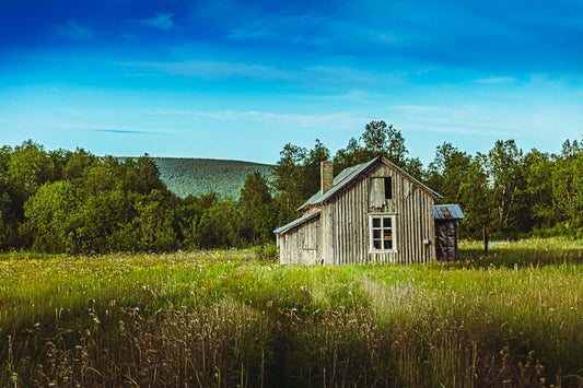 Den gamle stua - en gammel trestue omgitt av blomstrende enger i Sverige, skaper en rolig og nostalgisk stemning.