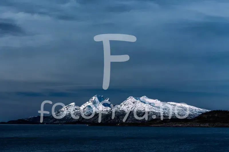 Dønnamannen-Nordisk majestet-Fotofryd.no