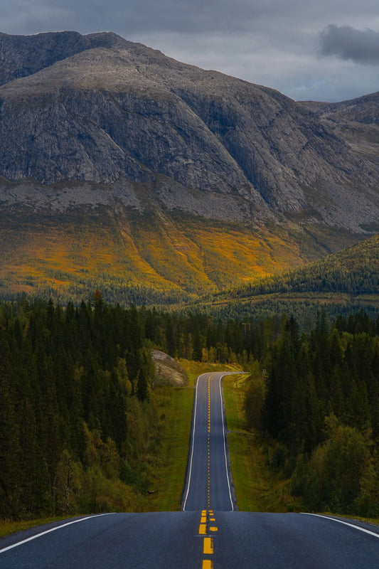 Drevja Helgeland