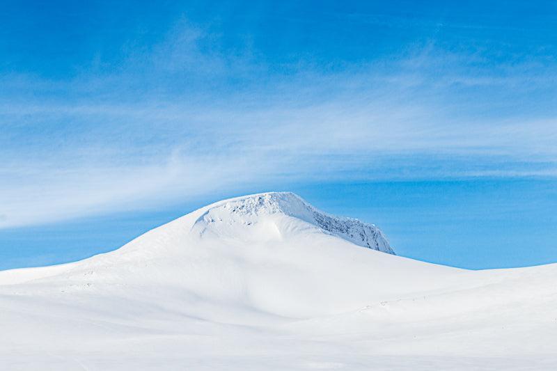 Fjellro – fotofryd.no veggbilder