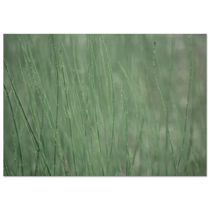 05f78470-f580-4057-8430-d8ec5deab9c6
