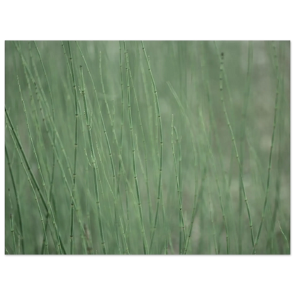 a86e104e-7d7a-4aa3-94b5-15ce1aa6bba4