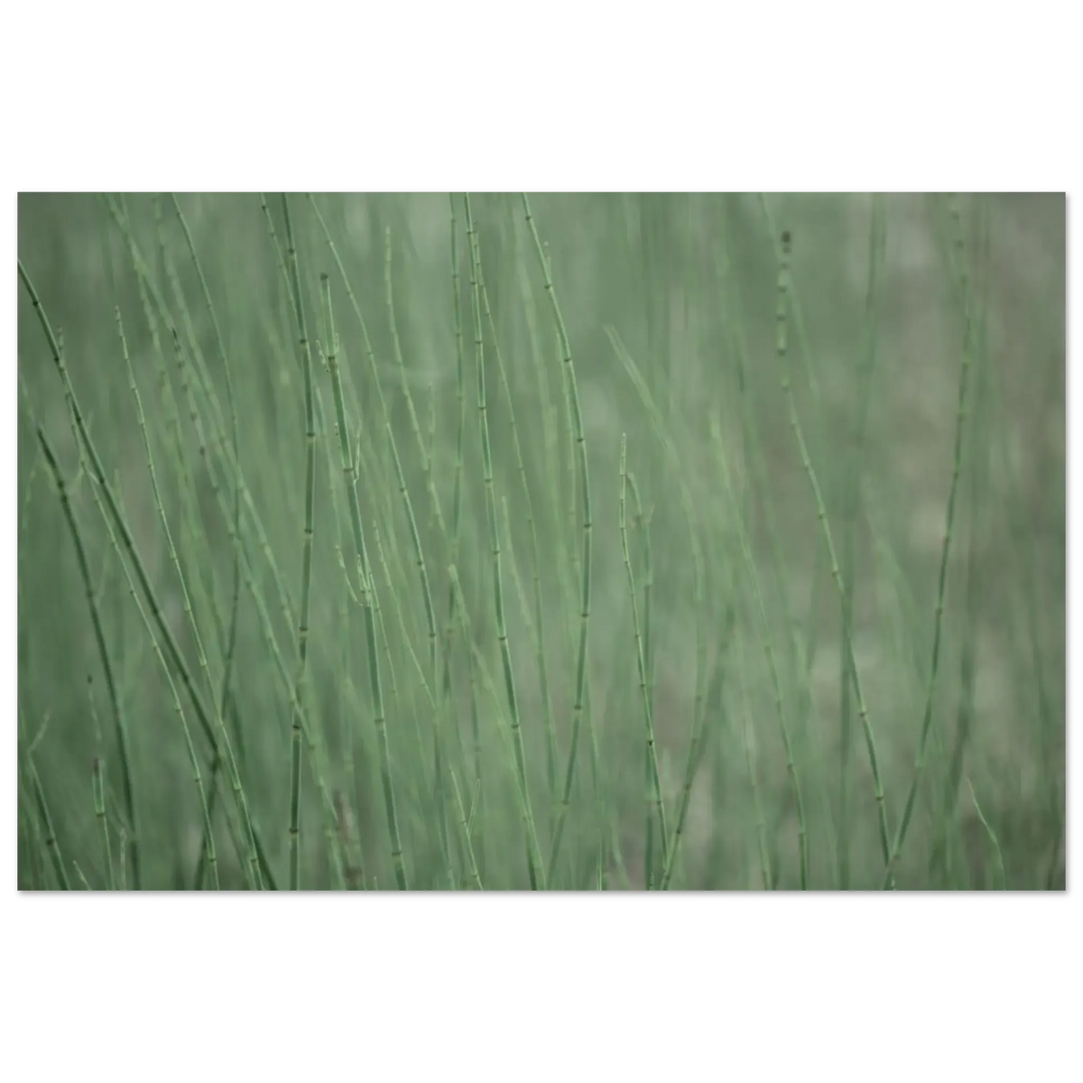 5b411432-cc7d-49be-9f69-7727e83f4283