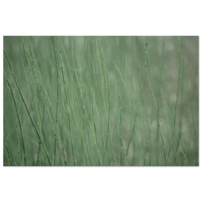 5b411432-cc7d-49be-9f69-7727e83f4283