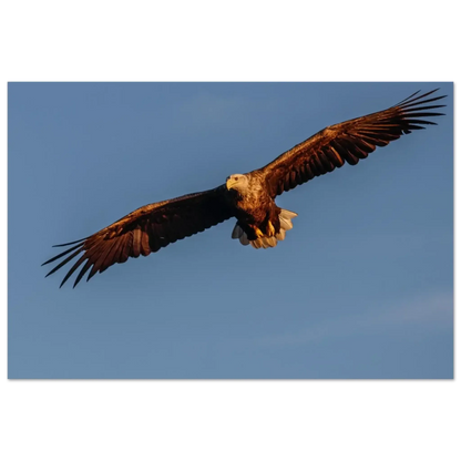 db1f7b55-b36b-425d-917d-a2677467529a