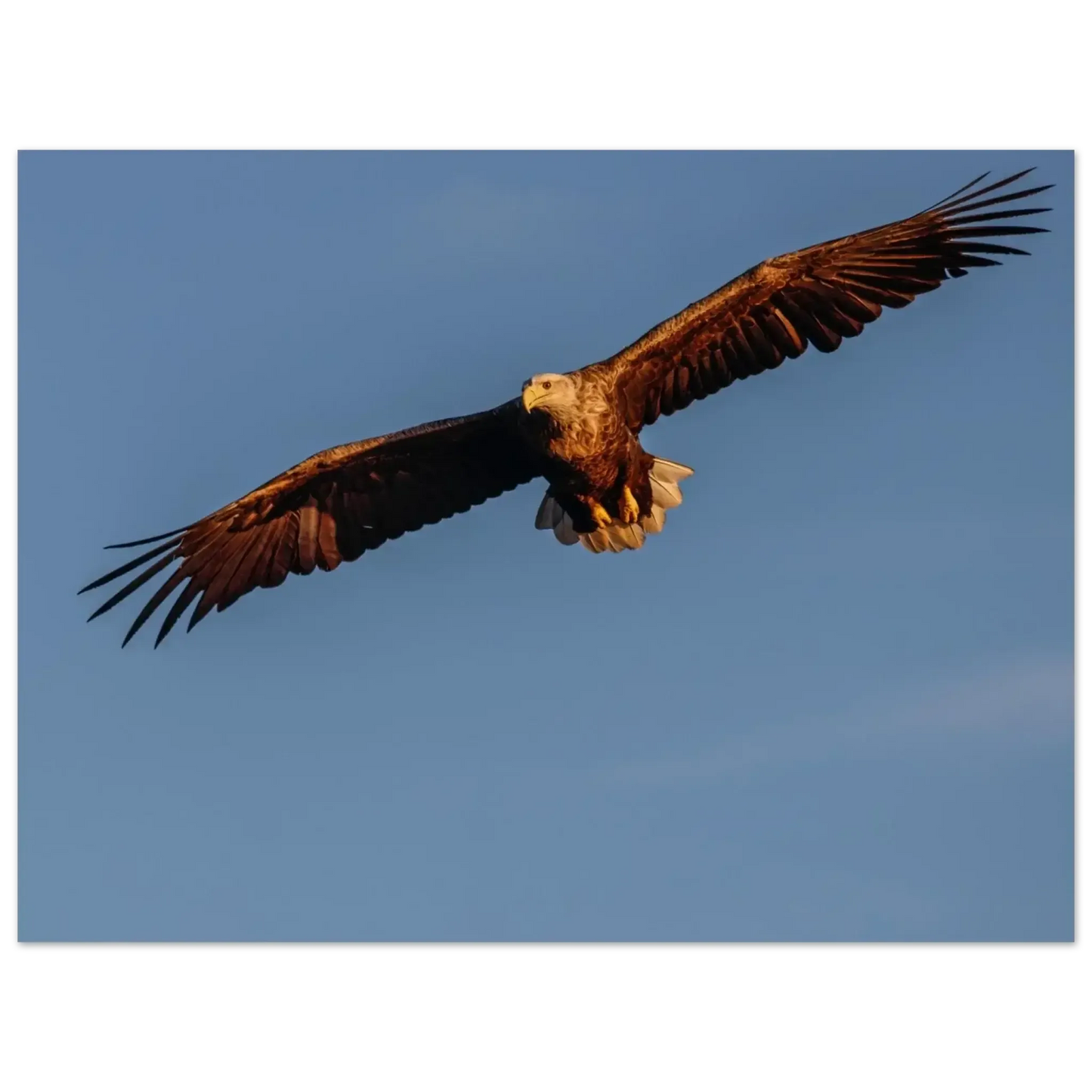 f167dcc7-971f-4346-873e-b626f0ca64cb