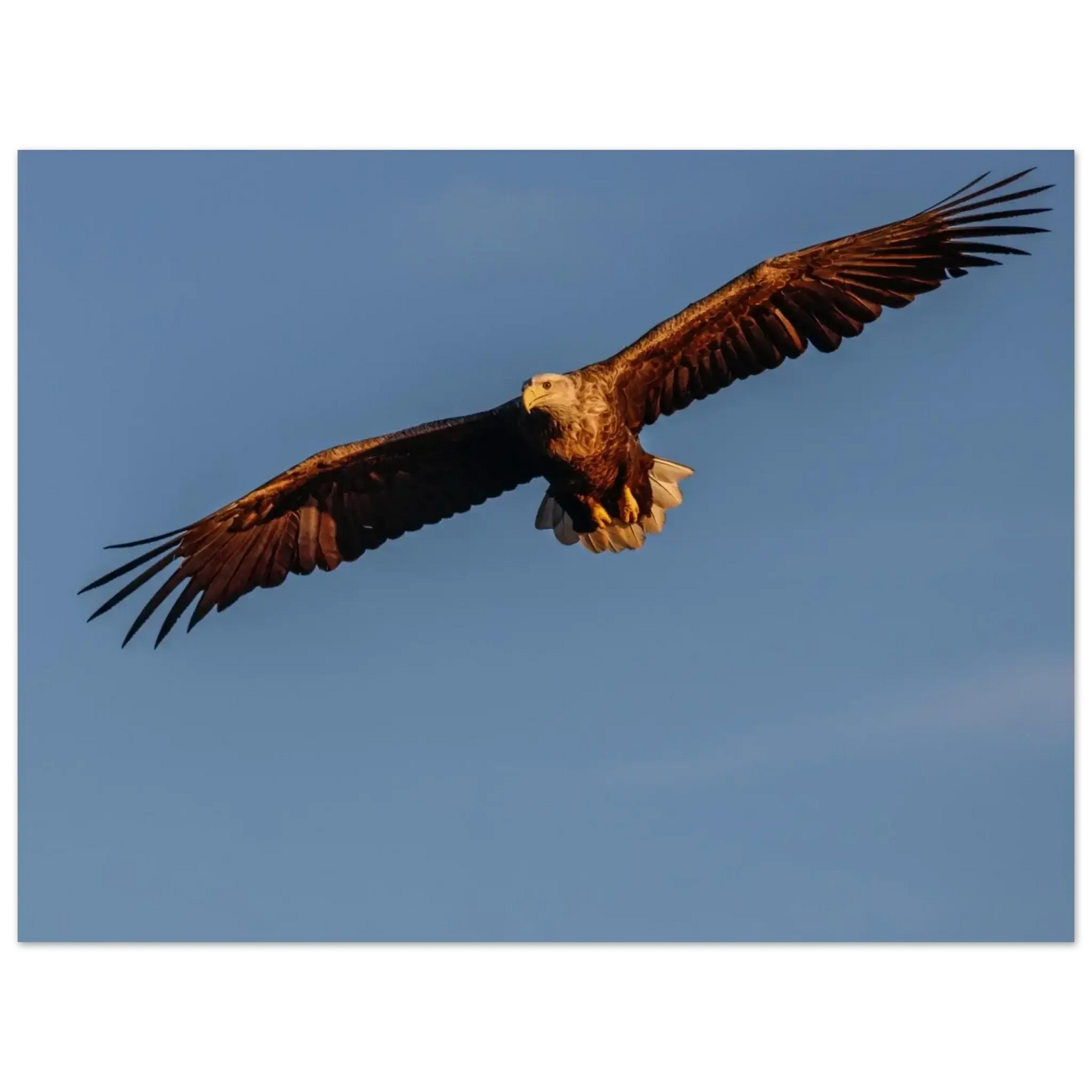 f167dcc7-971f-4346-873e-b626f0ca64cb