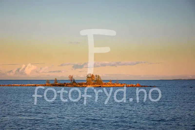 Høst på Holmön - vakkert veggbilde av øy med gyllent lys og åpent hav.