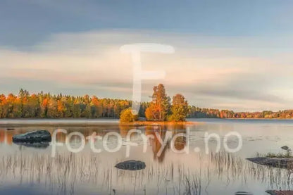 Høst ved Nydalen