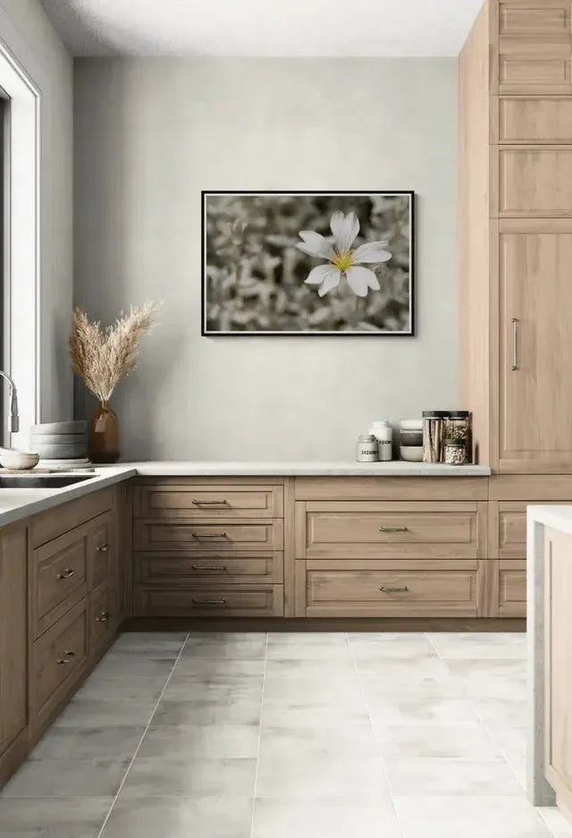 Hvit eleganse