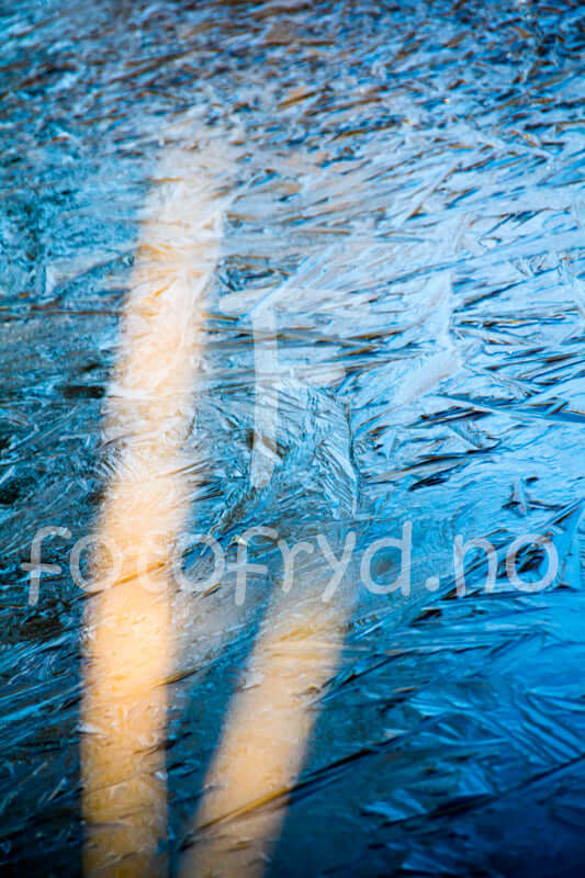 Abstrakt kunst og interiør – moderne uttrykk med natur og bøker