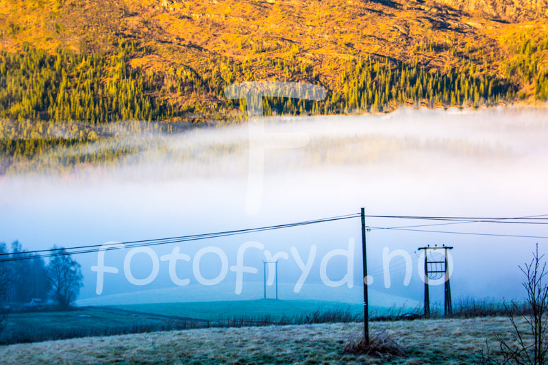 Opplev roen i dette harmoniske oppholdsrommet