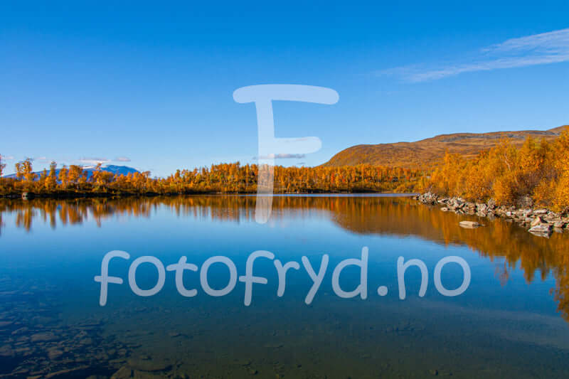 Kåtaviken-høstspeil