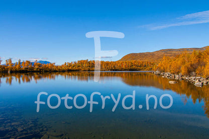 Kåtaviken-høstspeil